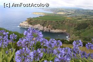 [P45] Insula Sao Miguel, partea dinspre nord est văzută din Miradouro De Santa Iria, partea verde este plantația de ceai.... » foto by mprofeanu
 - 
<span class="allrVoted glyphicon glyphicon-heart hidden" id="av979632"></span>
<a class="m-l-10 hidden" id="sv979632" onclick="voting_Foto_DelVot(,979632,23160)" role="button">șterge vot <span class="glyphicon glyphicon-remove"></span></a>
<a id="v9979632" class=" c-red"  onclick="voting_Foto_SetVot(979632)" role="button"><span class="glyphicon glyphicon-heart-empty"></span> <b>LIKE</b> = Votează poza</a> <img class="hidden"  id="f979632W9" src="/imagini/loader.gif" border="0" /><span class="AjErrMes hidden" id="e979632ErM"></span>