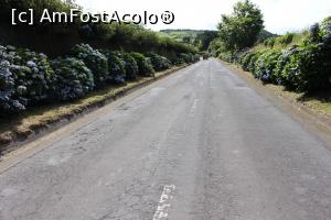 [P49] Insula Sao Miguel, spre Sete Cidades și lacuri » foto by mprofeanu
 - 
<span class="allrVoted glyphicon glyphicon-heart hidden" id="av979638"></span>
<a class="m-l-10 hidden" id="sv979638" onclick="voting_Foto_DelVot(,979638,23160)" role="button">șterge vot <span class="glyphicon glyphicon-remove"></span></a>
<a id="v9979638" class=" c-red"  onclick="voting_Foto_SetVot(979638)" role="button"><span class="glyphicon glyphicon-heart-empty"></span> <b>LIKE</b> = Votează poza</a> <img class="hidden"  id="f979638W9" src="/imagini/loader.gif" border="0" /><span class="AjErrMes hidden" id="e979638ErM"></span>