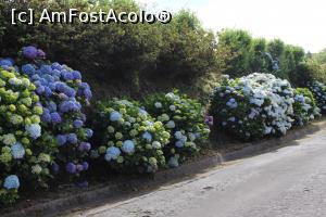 [P50] Insula Sao Miguel, spre Sete Cidades și lacuri » foto by mprofeanu
 - 
<span class="allrVoted glyphicon glyphicon-heart hidden" id="av979640"></span>
<a class="m-l-10 hidden" id="sv979640" onclick="voting_Foto_DelVot(,979640,23160)" role="button">șterge vot <span class="glyphicon glyphicon-remove"></span></a>
<a id="v9979640" class=" c-red"  onclick="voting_Foto_SetVot(979640)" role="button"><span class="glyphicon glyphicon-heart-empty"></span> <b>LIKE</b> = Votează poza</a> <img class="hidden"  id="f979640W9" src="/imagini/loader.gif" border="0" /><span class="AjErrMes hidden" id="e979640ErM"></span>