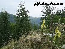 [P14] Asa incepe Transalpina. » foto by iulianic
 - 
<span class="allrVoted glyphicon glyphicon-heart hidden" id="av277049"></span>
<a class="m-l-10 hidden" id="sv277049" onclick="voting_Foto_DelVot(,277049,23162)" role="button">șterge vot <span class="glyphicon glyphicon-remove"></span></a>
<a id="v9277049" class=" c-red"  onclick="voting_Foto_SetVot(277049)" role="button"><span class="glyphicon glyphicon-heart-empty"></span> <b>LIKE</b> = Votează poza</a> <img class="hidden"  id="f277049W9" src="/imagini/loader.gif" border="0" /><span class="AjErrMes hidden" id="e277049ErM"></span>