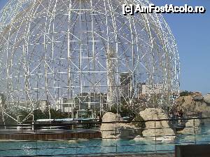 [P25] Oceanograful din Valencia » foto by yuly68*
 - 
<span class="allrVoted glyphicon glyphicon-heart hidden" id="av388886"></span>
<a class="m-l-10 hidden" id="sv388886" onclick="voting_Foto_DelVot(,388886,23164)" role="button">șterge vot <span class="glyphicon glyphicon-remove"></span></a>
<a id="v9388886" class=" c-red"  onclick="voting_Foto_SetVot(388886)" role="button"><span class="glyphicon glyphicon-heart-empty"></span> <b>LIKE</b> = Votează poza</a> <img class="hidden"  id="f388886W9" src="/imagini/loader.gif" border="0" /><span class="AjErrMes hidden" id="e388886ErM"></span>