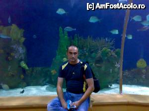 [P26] Oceanograful din Valencia » foto by yuly68*
 - 
<span class="allrVoted glyphicon glyphicon-heart hidden" id="av388887"></span>
<a class="m-l-10 hidden" id="sv388887" onclick="voting_Foto_DelVot(,388887,23164)" role="button">șterge vot <span class="glyphicon glyphicon-remove"></span></a>
<a id="v9388887" class=" c-red"  onclick="voting_Foto_SetVot(388887)" role="button"><span class="glyphicon glyphicon-heart-empty"></span> <b>LIKE</b> = Votează poza</a> <img class="hidden"  id="f388887W9" src="/imagini/loader.gif" border="0" /><span class="AjErrMes hidden" id="e388887ErM"></span>