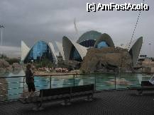 [P11] Vedere asupra pavilioanelor din Oceanografic. Peste tot sub ele e plin de acvarii, sali si tuneluri. » foto by vini
 - 
<span class="allrVoted glyphicon glyphicon-heart hidden" id="av72580"></span>
<a class="m-l-10 hidden" id="sv72580" onclick="voting_Foto_DelVot(,72580,23164)" role="button">șterge vot <span class="glyphicon glyphicon-remove"></span></a>
<a id="v972580" class=" c-red"  onclick="voting_Foto_SetVot(72580)" role="button"><span class="glyphicon glyphicon-heart-empty"></span> <b>LIKE</b> = Votează poza</a> <img class="hidden"  id="f72580W9" src="/imagini/loader.gif" border="0" /><span class="AjErrMes hidden" id="e72580ErM"></span>