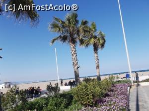 [P40] Zona de promenada, plaja si mare!  » foto by balasa violeta
 - 
<span class="allrVoted glyphicon glyphicon-heart hidden" id="av749027"></span>
<a class="m-l-10 hidden" id="sv749027" onclick="voting_Foto_DelVot(,749027,23165)" role="button">șterge vot <span class="glyphicon glyphicon-remove"></span></a>
<a id="v9749027" class=" c-red"  onclick="voting_Foto_SetVot(749027)" role="button"><span class="glyphicon glyphicon-heart-empty"></span> <b>LIKE</b> = Votează poza</a> <img class="hidden"  id="f749027W9" src="/imagini/loader.gif" border="0" /><span class="AjErrMes hidden" id="e749027ErM"></span>