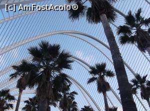 [P56] Ciudad de las artes y las ciencias!  » foto by balasa violeta
 - 
<span class="allrVoted glyphicon glyphicon-heart hidden" id="av749043"></span>
<a class="m-l-10 hidden" id="sv749043" onclick="voting_Foto_DelVot(,749043,23165)" role="button">șterge vot <span class="glyphicon glyphicon-remove"></span></a>
<a id="v9749043" class=" c-red"  onclick="voting_Foto_SetVot(749043)" role="button"><span class="glyphicon glyphicon-heart-empty"></span> <b>LIKE</b> = Votează poza</a> <img class="hidden"  id="f749043W9" src="/imagini/loader.gif" border="0" /><span class="AjErrMes hidden" id="e749043ErM"></span>