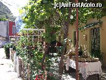 [P31] Produse alimentare direct de la producator » foto by georgiana
 - 
<span class="allrVoted glyphicon glyphicon-heart hidden" id="av271948"></span>
<a class="m-l-10 hidden" id="sv271948" onclick="voting_Foto_DelVot(,271948,23177)" role="button">șterge vot <span class="glyphicon glyphicon-remove"></span></a>
<a id="v9271948" class=" c-red"  onclick="voting_Foto_SetVot(271948)" role="button"><span class="glyphicon glyphicon-heart-empty"></span> <b>LIKE</b> = Votează poza</a> <img class="hidden"  id="f271948W9" src="/imagini/loader.gif" border="0" /><span class="AjErrMes hidden" id="e271948ErM"></span>