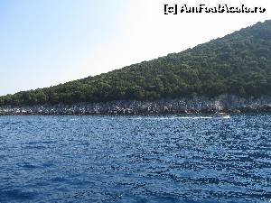 [P18] Croaziera spre Laguna Albastra- » foto by luciaoradea
 - 
<span class="allrVoted glyphicon glyphicon-heart hidden" id="av643506"></span>
<a class="m-l-10 hidden" id="sv643506" onclick="voting_Foto_DelVot(,643506,23178)" role="button">șterge vot <span class="glyphicon glyphicon-remove"></span></a>
<a id="v9643506" class=" c-red"  onclick="voting_Foto_SetVot(643506)" role="button"><span class="glyphicon glyphicon-heart-empty"></span> <b>LIKE</b> = Votează poza</a> <img class="hidden"  id="f643506W9" src="/imagini/loader.gif" border="0" /><span class="AjErrMes hidden" id="e643506ErM"></span>