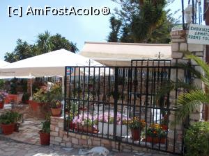 [P26] O parte a terasei din fața restaurantului, pisicuța este și ea la siestă...  » foto by Alina53
 - 
<span class="allrVoted glyphicon glyphicon-heart hidden" id="av968503"></span>
<a class="m-l-10 hidden" id="sv968503" onclick="voting_Foto_DelVot(,968503,23179)" role="button">șterge vot <span class="glyphicon glyphicon-remove"></span></a>
<a id="v9968503" class=" c-red"  onclick="voting_Foto_SetVot(968503)" role="button"><span class="glyphicon glyphicon-heart-empty"></span> <b>LIKE</b> = Votează poza</a> <img class="hidden"  id="f968503W9" src="/imagini/loader.gif" border="0" /><span class="AjErrMes hidden" id="e968503ErM"></span>