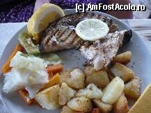 [P13] Zak's Family Taverna - swordfish, un file delicios » foto by danoradea
 - 
<span class="allrVoted glyphicon glyphicon-heart hidden" id="av104463"></span>
<a class="m-l-10 hidden" id="sv104463" onclick="voting_Foto_DelVot(,104463,23180)" role="button">șterge vot <span class="glyphicon glyphicon-remove"></span></a>
<a id="v9104463" class=" c-red"  onclick="voting_Foto_SetVot(104463)" role="button"><span class="glyphicon glyphicon-heart-empty"></span> <b>LIKE</b> = Votează poza</a> <img class="hidden"  id="f104463W9" src="/imagini/loader.gif" border="0" /><span class="AjErrMes hidden" id="e104463ErM"></span>