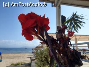 [P02] Vedere de la Metaxa Beach Bar. » foto by maryka
 - 
<span class="allrVoted glyphicon glyphicon-heart hidden" id="av1251273"></span>
<a class="m-l-10 hidden" id="sv1251273" onclick="voting_Foto_DelVot(,1251273,23185)" role="button">șterge vot <span class="glyphicon glyphicon-remove"></span></a>
<a id="v91251273" class=" c-red"  onclick="voting_Foto_SetVot(1251273)" role="button"><span class="glyphicon glyphicon-heart-empty"></span> <b>LIKE</b> = Votează poza</a> <img class="hidden"  id="f1251273W9" src="/imagini/loader.gif" border="0" /><span class="AjErrMes hidden" id="e1251273ErM"></span>