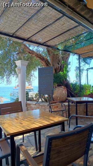 [P39] Yannis taverna - » foto by Dragoș_MD
 - 
<span class="allrVoted glyphicon glyphicon-heart hidden" id="av1508128"></span>
<a class="m-l-10 hidden" id="sv1508128" onclick="voting_Foto_DelVot(,1508128,23185)" role="button">șterge vot <span class="glyphicon glyphicon-remove"></span></a>
<a id="v91508128" class=" c-red"  onclick="voting_Foto_SetVot(1508128)" role="button"><span class="glyphicon glyphicon-heart-empty"></span> <b>LIKE</b> = Votează poza</a> <img class="hidden"  id="f1508128W9" src="/imagini/loader.gif" border="0" /><span class="AjErrMes hidden" id="e1508128ErM"></span>