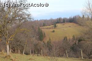 [P26] Moieciu, Munţii care îl înconjoară văzuţi în toamnă târzie » foto by mprofeanu
 - 
<span class="allrVoted glyphicon glyphicon-heart hidden" id="av930438"></span>
<a class="m-l-10 hidden" id="sv930438" onclick="voting_Foto_DelVot(,930438,23230)" role="button">șterge vot <span class="glyphicon glyphicon-remove"></span></a>
<a id="v9930438" class=" c-red"  onclick="voting_Foto_SetVot(930438)" role="button"><span class="glyphicon glyphicon-heart-empty"></span> <b>LIKE</b> = Votează poza</a> <img class="hidden"  id="f930438W9" src="/imagini/loader.gif" border="0" /><span class="AjErrMes hidden" id="e930438ErM"></span>