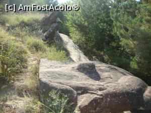 [P20] Acest trovant pare a fi o chitară de piatră.  » foto by Floryn81
 - 
<span class="allrVoted glyphicon glyphicon-heart hidden" id="av930810"></span>
<a class="m-l-10 hidden" id="sv930810" onclick="voting_Foto_DelVot(,930810,23238)" role="button">șterge vot <span class="glyphicon glyphicon-remove"></span></a>
<a id="v9930810" class=" c-red"  onclick="voting_Foto_SetVot(930810)" role="button"><span class="glyphicon glyphicon-heart-empty"></span> <b>LIKE</b> = Votează poza</a> <img class="hidden"  id="f930810W9" src="/imagini/loader.gif" border="0" /><span class="AjErrMes hidden" id="e930810ErM"></span>