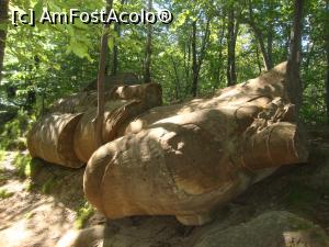 [P25] Aceștia sunt doar o parte dintre impresionanții trovanți pe care i-am întâlnit în pădure.  » foto by Floryn81
 - 
<span class="allrVoted glyphicon glyphicon-heart hidden" id="av930815"></span>
<a class="m-l-10 hidden" id="sv930815" onclick="voting_Foto_DelVot(,930815,23238)" role="button">șterge vot <span class="glyphicon glyphicon-remove"></span></a>
<a id="v9930815" class=" c-red"  onclick="voting_Foto_SetVot(930815)" role="button"><span class="glyphicon glyphicon-heart-empty"></span> <b>LIKE</b> = Votează poza</a> <img class="hidden"  id="f930815W9" src="/imagini/loader.gif" border="0" /><span class="AjErrMes hidden" id="e930815ErM"></span>