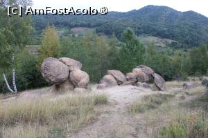 [P16] Ținutul Buzăului, Trovanții Babele de la Ulmet, Trovanții îngemănați pozați din depărtare » foto by mprofeanu
 - 
<span class="allrVoted glyphicon glyphicon-heart hidden" id="av1406819"></span>
<a class="m-l-10 hidden" id="sv1406819" onclick="voting_Foto_DelVot(,1406819,23238)" role="button">șterge vot <span class="glyphicon glyphicon-remove"></span></a>
<a id="v91406819" class=" c-red"  onclick="voting_Foto_SetVot(1406819)" role="button"><span class="glyphicon glyphicon-heart-empty"></span> <b>LIKE</b> = Votează poza</a> <img class="hidden"  id="f1406819W9" src="/imagini/loader.gif" border="0" /><span class="AjErrMes hidden" id="e1406819ErM"></span>