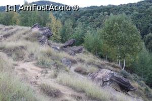 [P19] Ținutul Buzăului, Trovanții Babele de la Ulmet risipiți pe câmp » foto by mprofeanu
 - 
<span class="allrVoted glyphicon glyphicon-heart hidden" id="av1406822"></span>
<a class="m-l-10 hidden" id="sv1406822" onclick="voting_Foto_DelVot(,1406822,23238)" role="button">șterge vot <span class="glyphicon glyphicon-remove"></span></a>
<a id="v91406822" class=" c-red"  onclick="voting_Foto_SetVot(1406822)" role="button"><span class="glyphicon glyphicon-heart-empty"></span> <b>LIKE</b> = Votează poza</a> <img class="hidden"  id="f1406822W9" src="/imagini/loader.gif" border="0" /><span class="AjErrMes hidden" id="e1406822ErM"></span>