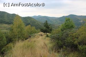 [P26] Ținutul Buzăului, Poteca urcă prin pădure spre Trovanții Babele de la Ulmet » foto by mprofeanu
 - 
<span class="allrVoted glyphicon glyphicon-heart hidden" id="av1406829"></span>
<a class="m-l-10 hidden" id="sv1406829" onclick="voting_Foto_DelVot(,1406829,23238)" role="button">șterge vot <span class="glyphicon glyphicon-remove"></span></a>
<a id="v91406829" class=" c-red"  onclick="voting_Foto_SetVot(1406829)" role="button"><span class="glyphicon glyphicon-heart-empty"></span> <b>LIKE</b> = Votează poza</a> <img class="hidden"  id="f1406829W9" src="/imagini/loader.gif" border="0" /><span class="AjErrMes hidden" id="e1406829ErM"></span>