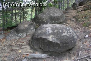[P30] Ținutul Buzăului, Printre Trovanții Babele de la Ulmet din Pădure » foto by mprofeanu
 - 
<span class="allrVoted glyphicon glyphicon-heart hidden" id="av1406833"></span>
<a class="m-l-10 hidden" id="sv1406833" onclick="voting_Foto_DelVot(,1406833,23238)" role="button">șterge vot <span class="glyphicon glyphicon-remove"></span></a>
<a id="v91406833" class=" c-red"  onclick="voting_Foto_SetVot(1406833)" role="button"><span class="glyphicon glyphicon-heart-empty"></span> <b>LIKE</b> = Votează poza</a> <img class="hidden"  id="f1406833W9" src="/imagini/loader.gif" border="0" /><span class="AjErrMes hidden" id="e1406833ErM"></span>