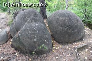 [P31] Ținutul Buzăului, Printre Trovanții Babele de la Ulmet din Pădure » foto by mprofeanu
 - 
<span class="allrVoted glyphicon glyphicon-heart hidden" id="av1406834"></span>
<a class="m-l-10 hidden" id="sv1406834" onclick="voting_Foto_DelVot(,1406834,23238)" role="button">șterge vot <span class="glyphicon glyphicon-remove"></span></a>
<a id="v91406834" class=" c-red"  onclick="voting_Foto_SetVot(1406834)" role="button"><span class="glyphicon glyphicon-heart-empty"></span> <b>LIKE</b> = Votează poza</a> <img class="hidden"  id="f1406834W9" src="/imagini/loader.gif" border="0" /><span class="AjErrMes hidden" id="e1406834ErM"></span>
