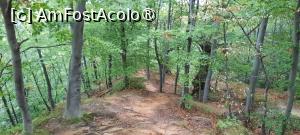 [P37] Ținutul Buzăului, Printre Trovanții Babele de la Ulmet Poteca urcă prin pădure, se vede și semnul albastru... » foto by mprofeanu
 - 
<span class="allrVoted glyphicon glyphicon-heart hidden" id="av1406840"></span>
<a class="m-l-10 hidden" id="sv1406840" onclick="voting_Foto_DelVot(,1406840,23238)" role="button">șterge vot <span class="glyphicon glyphicon-remove"></span></a>
<a id="v91406840" class=" c-red"  onclick="voting_Foto_SetVot(1406840)" role="button"><span class="glyphicon glyphicon-heart-empty"></span> <b>LIKE</b> = Votează poza</a> <img class="hidden"  id="f1406840W9" src="/imagini/loader.gif" border="0" /><span class="AjErrMes hidden" id="e1406840ErM"></span>