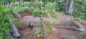 [P43] Ținutul Buzăului, Trovanții Babele de la Ulmet din Pădure, Ghioaga » foto by mprofeanu
 - 
<span class="allrVoted glyphicon glyphicon-heart hidden" id="av1406846"></span>
<a class="m-l-10 hidden" id="sv1406846" onclick="voting_Foto_DelVot(,1406846,23238)" role="button">șterge vot <span class="glyphicon glyphicon-remove"></span></a>
<a id="v91406846" class=" c-red"  onclick="voting_Foto_SetVot(1406846)" role="button"><span class="glyphicon glyphicon-heart-empty"></span> <b>LIKE</b> = Votează poza</a> <img class="hidden"  id="f1406846W9" src="/imagini/loader.gif" border="0" /><span class="AjErrMes hidden" id="e1406846ErM"></span>