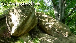 [P17] O farfurie zburătoare destul de sferică, alături de ceea ce pare a fi un prim trovant fusiform, adică o rachetă.  » foto by Lucien
 - 
<span class="allrVoted glyphicon glyphicon-heart hidden" id="av1125827"></span>
<a class="m-l-10 hidden" id="sv1125827" onclick="voting_Foto_DelVot(,1125827,23238)" role="button">șterge vot <span class="glyphicon glyphicon-remove"></span></a>
<a id="v91125827" class=" c-red"  onclick="voting_Foto_SetVot(1125827)" role="button"><span class="glyphicon glyphicon-heart-empty"></span> <b>LIKE</b> = Votează poza</a> <img class="hidden"  id="f1125827W9" src="/imagini/loader.gif" border="0" /><span class="AjErrMes hidden" id="e1125827ErM"></span>