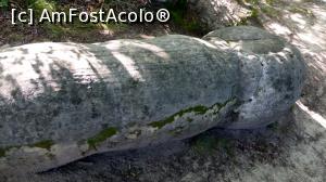 [P18] Un superb trovant fusiform, de fapt o fostă rachetă (navă de transport combustil sau navă hangar?). Trovantul are vreo 3 m lungime și este situat în partea de sus a zonei numită ”La Coloane” dintr-un motiv lesne de înțeles.  » foto by Lucien
 - 
<span class="allrVoted glyphicon glyphicon-heart hidden" id="av1125828"></span>
<a class="m-l-10 hidden" id="sv1125828" onclick="voting_Foto_DelVot(,1125828,23238)" role="button">șterge vot <span class="glyphicon glyphicon-remove"></span></a>
<a id="v91125828" class=" c-red"  onclick="voting_Foto_SetVot(1125828)" role="button"><span class="glyphicon glyphicon-heart-empty"></span> <b>LIKE</b> = Votează poza</a> <img class="hidden"  id="f1125828W9" src="/imagini/loader.gif" border="0" /><span class="AjErrMes hidden" id="e1125828ErM"></span>