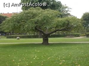 [P02] Rosenborg Slot, Copenhaga. Parcul Palatului.  » foto by mihaelavoicu
 - 
<span class="allrVoted glyphicon glyphicon-heart hidden" id="av1149855"></span>
<a class="m-l-10 hidden" id="sv1149855" onclick="voting_Foto_DelVot(,1149855,23248)" role="button">șterge vot <span class="glyphicon glyphicon-remove"></span></a>
<a id="v91149855" class=" c-red"  onclick="voting_Foto_SetVot(1149855)" role="button"><span class="glyphicon glyphicon-heart-empty"></span> <b>LIKE</b> = Votează poza</a> <img class="hidden"  id="f1149855W9" src="/imagini/loader.gif" border="0" /><span class="AjErrMes hidden" id="e1149855ErM"></span>