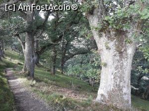 [P18] Prin padure spre Cascada Divach.  » foto by Aurici
 - 
<span class="allrVoted glyphicon glyphicon-heart hidden" id="av932965"></span>
<a class="m-l-10 hidden" id="sv932965" onclick="voting_Foto_DelVot(,932965,23255)" role="button">șterge vot <span class="glyphicon glyphicon-remove"></span></a>
<a id="v9932965" class=" c-red"  onclick="voting_Foto_SetVot(932965)" role="button"><span class="glyphicon glyphicon-heart-empty"></span> <b>LIKE</b> = Votează poza</a> <img class="hidden"  id="f932965W9" src="/imagini/loader.gif" border="0" /><span class="AjErrMes hidden" id="e932965ErM"></span>