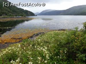 [P31] Castelul Eilean Donan si zona inconjuratoare.  » foto by Aurici
 - 
<span class="allrVoted glyphicon glyphicon-heart hidden" id="av932978"></span>
<a class="m-l-10 hidden" id="sv932978" onclick="voting_Foto_DelVot(,932978,23255)" role="button">șterge vot <span class="glyphicon glyphicon-remove"></span></a>
<a id="v9932978" class=" c-red"  onclick="voting_Foto_SetVot(932978)" role="button"><span class="glyphicon glyphicon-heart-empty"></span> <b>LIKE</b> = Votează poza</a> <img class="hidden"  id="f932978W9" src="/imagini/loader.gif" border="0" /><span class="AjErrMes hidden" id="e932978ErM"></span>