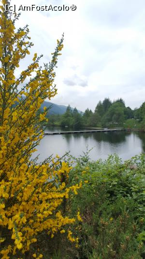 [P02] loch Ness » foto by geani anto
 - 
<span class="allrVoted glyphicon glyphicon-heart hidden" id="av1000106"></span>
<a class="m-l-10 hidden" id="sv1000106" onclick="voting_Foto_DelVot(,1000106,23255)" role="button">șterge vot <span class="glyphicon glyphicon-remove"></span></a>
<a id="v91000106" class=" c-red"  onclick="voting_Foto_SetVot(1000106)" role="button"><span class="glyphicon glyphicon-heart-empty"></span> <b>LIKE</b> = Votează poza</a> <img class="hidden"  id="f1000106W9" src="/imagini/loader.gif" border="0" /><span class="AjErrMes hidden" id="e1000106ErM"></span>