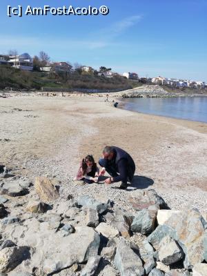 [P04] Pe plaja din fața hotelului » foto by cris1982
 - 
<span class="allrVoted glyphicon glyphicon-heart hidden" id="av1375307"></span>
<a class="m-l-10 hidden" id="sv1375307" onclick="voting_Foto_DelVot(,1375307,23291)" role="button">șterge vot <span class="glyphicon glyphicon-remove"></span></a>
<a id="v91375307" class=" c-red"  onclick="voting_Foto_SetVot(1375307)" role="button"><span class="glyphicon glyphicon-heart-empty"></span> <b>LIKE</b> = Votează poza</a> <img class="hidden"  id="f1375307W9" src="/imagini/loader.gif" border="0" /><span class="AjErrMes hidden" id="e1375307ErM"></span>