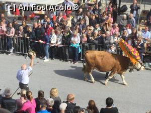 [P37] La parada salutand spectatorii » foto by mishu
 - 
<span class="allrVoted glyphicon glyphicon-heart hidden" id="av1012965"></span>
<a class="m-l-10 hidden" id="sv1012965" onclick="voting_Foto_DelVot(,1012965,23293)" role="button">șterge vot <span class="glyphicon glyphicon-remove"></span></a>
<a id="v91012965" class=" c-red"  onclick="voting_Foto_SetVot(1012965)" role="button"><span class="glyphicon glyphicon-heart-empty"></span> <b>LIKE</b> = Votează poza</a> <img class="hidden"  id="f1012965W9" src="/imagini/loader.gif" border="0" /><span class="AjErrMes hidden" id="e1012965ErM"></span>