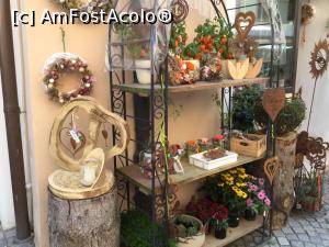 [P44] Rattenberg - O florarie » foto by mishu
 - 
<span class="allrVoted glyphicon glyphicon-heart hidden" id="av1021230"></span>
<a class="m-l-10 hidden" id="sv1021230" onclick="voting_Foto_DelVot(,1021230,23296)" role="button">șterge vot <span class="glyphicon glyphicon-remove"></span></a>
<a id="v91021230" class=" c-red"  onclick="voting_Foto_SetVot(1021230)" role="button"><span class="glyphicon glyphicon-heart-empty"></span> <b>LIKE</b> = Votează poza</a> <img class="hidden"  id="f1021230W9" src="/imagini/loader.gif" border="0" /><span class="AjErrMes hidden" id="e1021230ErM"></span>