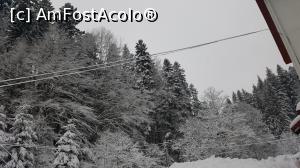 [P03]  -- <small>// FĂRĂ DESCRIERE</small> » foto by sniperss
 - 
<span class="allrVoted glyphicon glyphicon-heart hidden" id="av939437"></span>
<a class="m-l-10 hidden" id="sv939437" onclick="voting_Foto_DelVot(,939437,23329)" role="button">șterge vot <span class="glyphicon glyphicon-remove"></span></a>
<a id="v9939437" class=" c-red"  onclick="voting_Foto_SetVot(939437)" role="button"><span class="glyphicon glyphicon-heart-empty"></span> <b>LIKE</b> = Votează poza</a> <img class="hidden"  id="f939437W9" src="/imagini/loader.gif" border="0" /><span class="AjErrMes hidden" id="e939437ErM"></span>