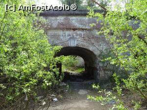 [P06] Vedere din șantul interior spre gangul de acces în fortificație. » foto by tata123 🔱
 - 
<span class="allrVoted glyphicon glyphicon-heart hidden" id="av1304888"></span>
<a class="m-l-10 hidden" id="sv1304888" onclick="voting_Foto_DelVot(,1304888,23340)" role="button">șterge vot <span class="glyphicon glyphicon-remove"></span></a>
<a id="v91304888" class=" c-red"  onclick="voting_Foto_SetVot(1304888)" role="button"><span class="glyphicon glyphicon-heart-empty"></span> <b>LIKE</b> = Votează poza</a> <img class="hidden"  id="f1304888W9" src="/imagini/loader.gif" border="0" /><span class="AjErrMes hidden" id="e1304888ErM"></span>