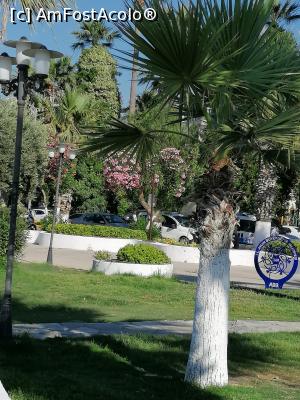 [P33] minunatul Kusadasi » foto by michaela_1961
 - 
<span class="allrVoted glyphicon glyphicon-heart hidden" id="av1253182"></span>
<a class="m-l-10 hidden" id="sv1253182" onclick="voting_Foto_DelVot(,1253182,23341)" role="button">șterge vot <span class="glyphicon glyphicon-remove"></span></a>
<a id="v91253182" class=" c-red"  onclick="voting_Foto_SetVot(1253182)" role="button"><span class="glyphicon glyphicon-heart-empty"></span> <b>LIKE</b> = Votează poza</a> <img class="hidden"  id="f1253182W9" src="/imagini/loader.gif" border="0" /><span class="AjErrMes hidden" id="e1253182ErM"></span>