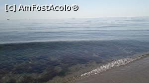 [P17] Marea curata dar si portiuni cu bolovani » foto by vld79
 - 
<span class="allrVoted glyphicon glyphicon-heart hidden" id="av1068418"></span>
<a class="m-l-10 hidden" id="sv1068418" onclick="voting_Foto_DelVot(,1068418,23368)" role="button">șterge vot <span class="glyphicon glyphicon-remove"></span></a>
<a id="v91068418" class=" c-red"  onclick="voting_Foto_SetVot(1068418)" role="button"><span class="glyphicon glyphicon-heart-empty"></span> <b>LIKE</b> = Votează poza</a> <img class="hidden"  id="f1068418W9" src="/imagini/loader.gif" border="0" /><span class="AjErrMes hidden" id="e1068418ErM"></span>