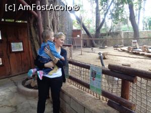 [P06] zoo » foto by bogdan 75
 - 
<span class="allrVoted glyphicon glyphicon-heart hidden" id="av941315"></span>
<a class="m-l-10 hidden" id="sv941315" onclick="voting_Foto_DelVot(,941315,23378)" role="button">șterge vot <span class="glyphicon glyphicon-remove"></span></a>
<a id="v9941315" class=" c-red"  onclick="voting_Foto_SetVot(941315)" role="button"><span class="glyphicon glyphicon-heart-empty"></span> <b>LIKE</b> = Votează poza</a> <img class="hidden"  id="f941315W9" src="/imagini/loader.gif" border="0" /><span class="AjErrMes hidden" id="e941315ErM"></span>