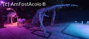 [P42] Dinozaur Park Dubai  » foto by elenaadina
 - 
<span class="allrVoted glyphicon glyphicon-heart hidden" id="av1414653"></span>
<a class="m-l-10 hidden" id="sv1414653" onclick="voting_Foto_DelVot(,1414653,23380)" role="button">șterge vot <span class="glyphicon glyphicon-remove"></span></a>
<a id="v91414653" class=" c-red"  onclick="voting_Foto_SetVot(1414653)" role="button"><span class="glyphicon glyphicon-heart-empty"></span> <b>LIKE</b> = Votează poza</a> <img class="hidden"  id="f1414653W9" src="/imagini/loader.gif" border="0" /><span class="AjErrMes hidden" id="e1414653ErM"></span>