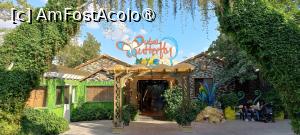 [P01] Dubai Butterfly Garden » foto by elenaadina
 - 
<span class="allrVoted glyphicon glyphicon-heart hidden" id="av1427677"></span>
<a class="m-l-10 hidden" id="sv1427677" onclick="voting_Foto_DelVot(,1427677,23380)" role="button">șterge vot <span class="glyphicon glyphicon-remove"></span></a>
<a id="v91427677" class=" c-red"  onclick="voting_Foto_SetVot(1427677)" role="button"><span class="glyphicon glyphicon-heart-empty"></span> <b>LIKE</b> = Votează poza</a> <img class="hidden"  id="f1427677W9" src="/imagini/loader.gif" border="0" /><span class="AjErrMes hidden" id="e1427677ErM"></span>