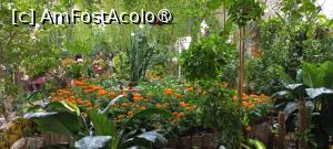 [P13] Dubai Butterfly Garden » foto by elenaadina
 - 
<span class="allrVoted glyphicon glyphicon-heart hidden" id="av1427689"></span>
<a class="m-l-10 hidden" id="sv1427689" onclick="voting_Foto_DelVot(,1427689,23380)" role="button">șterge vot <span class="glyphicon glyphicon-remove"></span></a>
<a id="v91427689" class=" c-red"  onclick="voting_Foto_SetVot(1427689)" role="button"><span class="glyphicon glyphicon-heart-empty"></span> <b>LIKE</b> = Votează poza</a> <img class="hidden"  id="f1427689W9" src="/imagini/loader.gif" border="0" /><span class="AjErrMes hidden" id="e1427689ErM"></span>