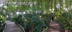 [P21] Dubai Butterfly Garden » foto by elenaadina
 - 
<span class="allrVoted glyphicon glyphicon-heart hidden" id="av1427697"></span>
<a class="m-l-10 hidden" id="sv1427697" onclick="voting_Foto_DelVot(,1427697,23380)" role="button">șterge vot <span class="glyphicon glyphicon-remove"></span></a>
<a id="v91427697" class=" c-red"  onclick="voting_Foto_SetVot(1427697)" role="button"><span class="glyphicon glyphicon-heart-empty"></span> <b>LIKE</b> = Votează poza</a> <img class="hidden"  id="f1427697W9" src="/imagini/loader.gif" border="0" /><span class="AjErrMes hidden" id="e1427697ErM"></span>