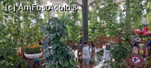 [P08] Dubai Butterfly Garden » foto by elenaadina
 - 
<span class="allrVoted glyphicon glyphicon-heart hidden" id="av1427684"></span>
<a class="m-l-10 hidden" id="sv1427684" onclick="voting_Foto_DelVot(,1427684,23380)" role="button">șterge vot <span class="glyphicon glyphicon-remove"></span></a>
<a id="v91427684" class=" c-red"  onclick="voting_Foto_SetVot(1427684)" role="button"><span class="glyphicon glyphicon-heart-empty"></span> <b>LIKE</b> = Votează poza</a> <img class="hidden"  id="f1427684W9" src="/imagini/loader.gif" border="0" /><span class="AjErrMes hidden" id="e1427684ErM"></span>