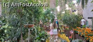 [P09] Dubai Butterfly Garden » foto by elenaadina
 - 
<span class="allrVoted glyphicon glyphicon-heart hidden" id="av1427685"></span>
<a class="m-l-10 hidden" id="sv1427685" onclick="voting_Foto_DelVot(,1427685,23380)" role="button">șterge vot <span class="glyphicon glyphicon-remove"></span></a>
<a id="v91427685" class=" c-red"  onclick="voting_Foto_SetVot(1427685)" role="button"><span class="glyphicon glyphicon-heart-empty"></span> <b>LIKE</b> = Votează poza</a> <img class="hidden"  id="f1427685W9" src="/imagini/loader.gif" border="0" /><span class="AjErrMes hidden" id="e1427685ErM"></span>