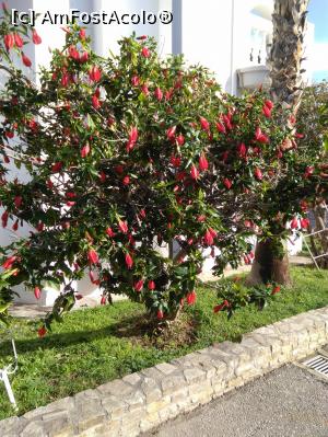 [P02]  -- <small>// FĂRĂ DESCRIERE</small> » foto by eklor
 - 
<span class="allrVoted glyphicon glyphicon-heart hidden" id="av942199"></span>
<a class="m-l-10 hidden" id="sv942199" onclick="voting_Foto_DelVot(,942199,23399)" role="button">șterge vot <span class="glyphicon glyphicon-remove"></span></a>
<a id="v9942199" class=" c-red"  onclick="voting_Foto_SetVot(942199)" role="button"><span class="glyphicon glyphicon-heart-empty"></span> <b>LIKE</b> = Votează poza</a> <img class="hidden"  id="f942199W9" src="/imagini/loader.gif" border="0" /><span class="AjErrMes hidden" id="e942199ErM"></span>