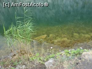 [P35]  -- <small>// FĂRĂ DESCRIERE</small> » foto by iulianic
 - 
<span class="allrVoted glyphicon glyphicon-heart hidden" id="av1319092"></span>
<a class="m-l-10 hidden" id="sv1319092" onclick="voting_Foto_DelVot(,1319092,23427)" role="button">șterge vot <span class="glyphicon glyphicon-remove"></span></a>
<a id="v91319092" class=" c-red"  onclick="voting_Foto_SetVot(1319092)" role="button"><span class="glyphicon glyphicon-heart-empty"></span> <b>LIKE</b> = Votează poza</a> <img class="hidden"  id="f1319092W9" src="/imagini/loader.gif" border="0" /><span class="AjErrMes hidden" id="e1319092ErM"></span>