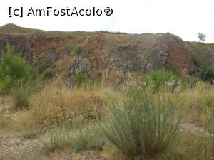 [P37]  -- <small>// FĂRĂ DESCRIERE</small> » foto by iulianic
 - 
<span class="allrVoted glyphicon glyphicon-heart hidden" id="av1319094"></span>
<a class="m-l-10 hidden" id="sv1319094" onclick="voting_Foto_DelVot(,1319094,23427)" role="button">șterge vot <span class="glyphicon glyphicon-remove"></span></a>
<a id="v91319094" class=" c-red"  onclick="voting_Foto_SetVot(1319094)" role="button"><span class="glyphicon glyphicon-heart-empty"></span> <b>LIKE</b> = Votează poza</a> <img class="hidden"  id="f1319094W9" src="/imagini/loader.gif" border="0" /><span class="AjErrMes hidden" id="e1319094ErM"></span>