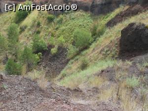 [P48]  -- <small>// FĂRĂ DESCRIERE</small> » foto by iulianic
 - 
<span class="allrVoted glyphicon glyphicon-heart hidden" id="av1319105"></span>
<a class="m-l-10 hidden" id="sv1319105" onclick="voting_Foto_DelVot(,1319105,23427)" role="button">șterge vot <span class="glyphicon glyphicon-remove"></span></a>
<a id="v91319105" class=" c-red"  onclick="voting_Foto_SetVot(1319105)" role="button"><span class="glyphicon glyphicon-heart-empty"></span> <b>LIKE</b> = Votează poza</a> <img class="hidden"  id="f1319105W9" src="/imagini/loader.gif" border="0" /><span class="AjErrMes hidden" id="e1319105ErM"></span>