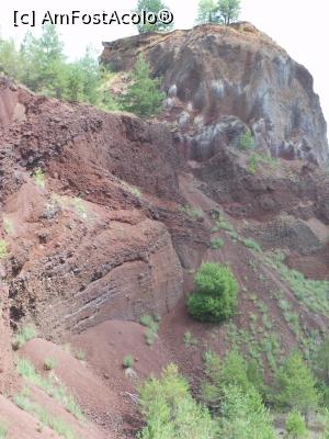 [P50]  -- <small>// FĂRĂ DESCRIERE</small> » foto by iulianic
 - 
<span class="allrVoted glyphicon glyphicon-heart hidden" id="av1319107"></span>
<a class="m-l-10 hidden" id="sv1319107" onclick="voting_Foto_DelVot(,1319107,23427)" role="button">șterge vot <span class="glyphicon glyphicon-remove"></span></a>
<a id="v91319107" class=" c-red"  onclick="voting_Foto_SetVot(1319107)" role="button"><span class="glyphicon glyphicon-heart-empty"></span> <b>LIKE</b> = Votează poza</a> <img class="hidden"  id="f1319107W9" src="/imagini/loader.gif" border="0" /><span class="AjErrMes hidden" id="e1319107ErM"></span>